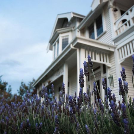 Vynfields Guest House Martinborough Eksteriør bilde