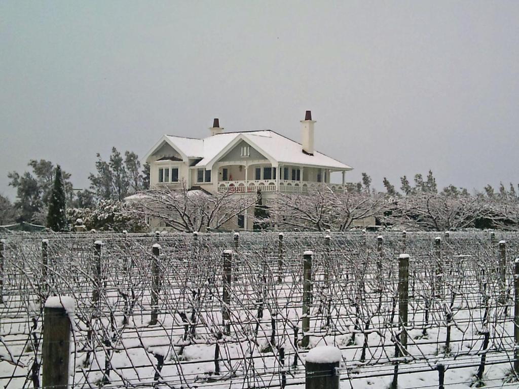 Vynfields Guest House Martinborough Eksteriør bilde